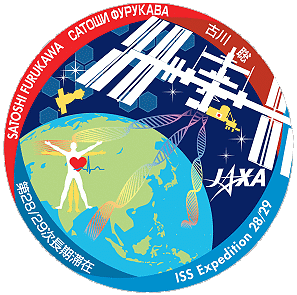 Patch Satoshi Furukawa