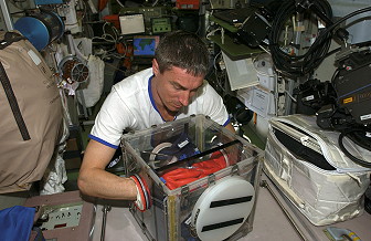 life onboard ISS
