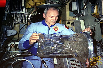 Dzhanibekov onboard Salyut 7