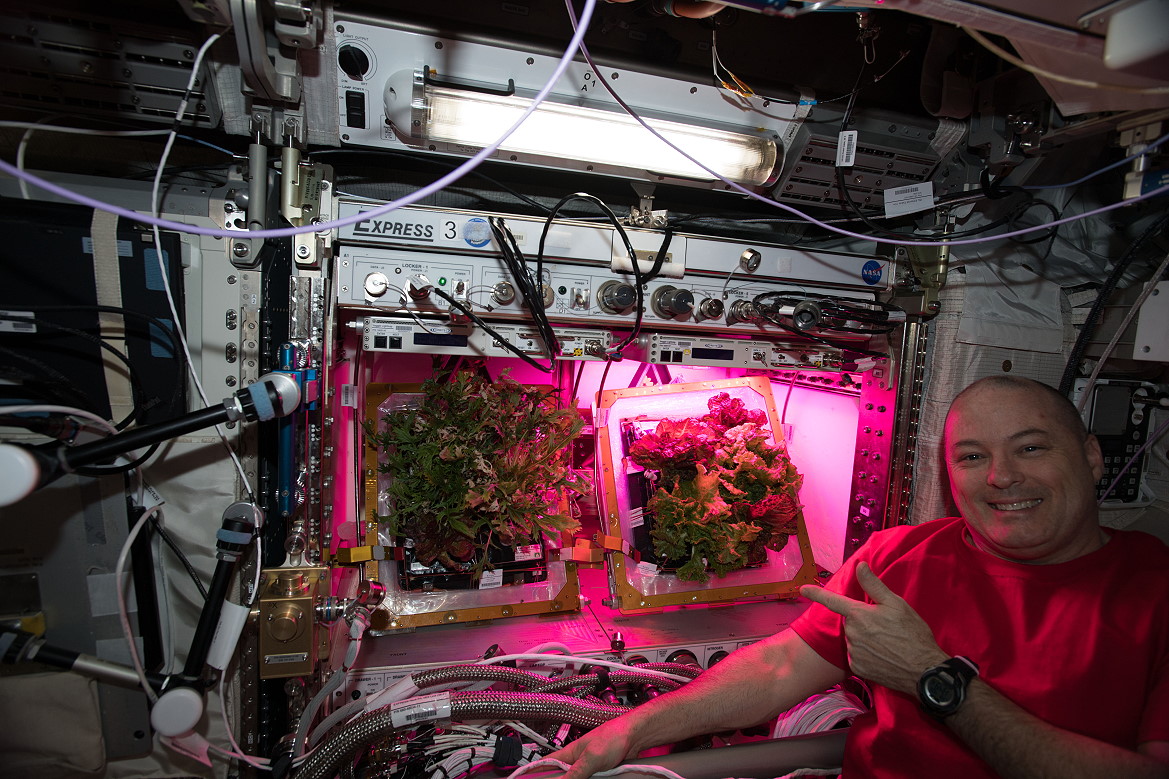 Leben an Bord der ISS