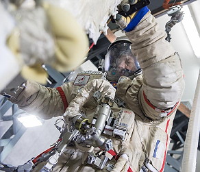 Misurkin in training