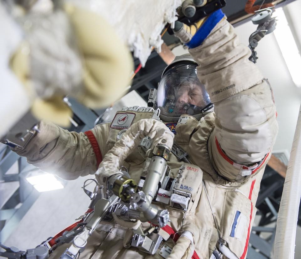 Misurkin in training