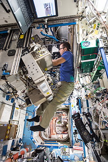 Light Microscopy Module (LMM)