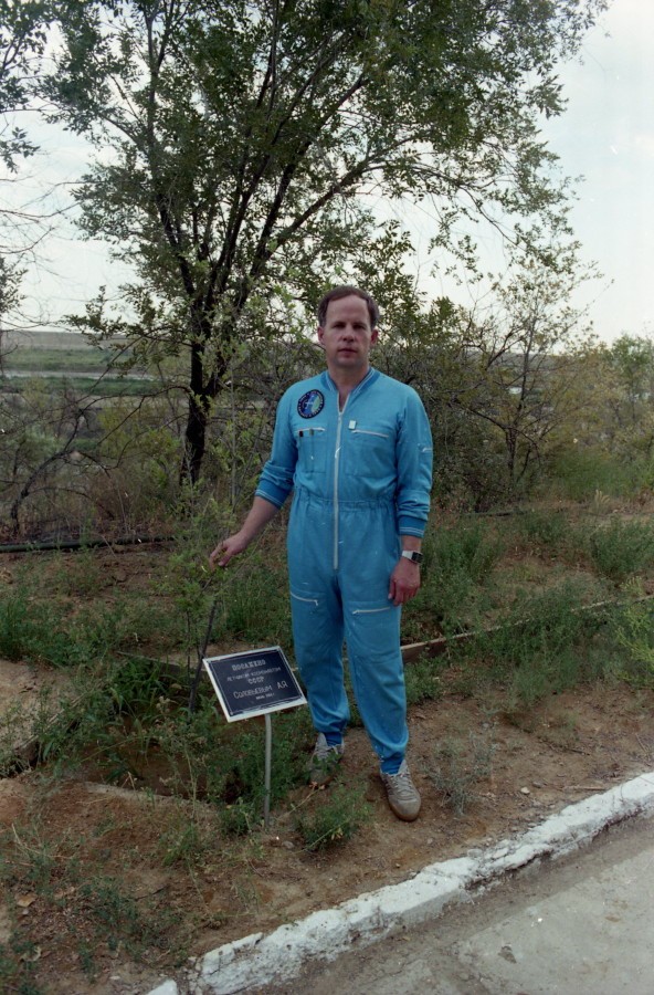 traidional tree plant in Baikonur