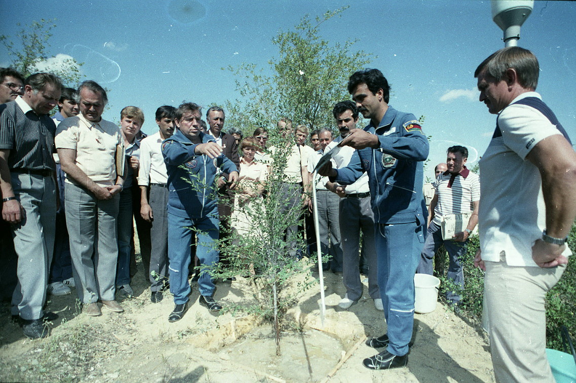 traidional tree plant in Baikonur