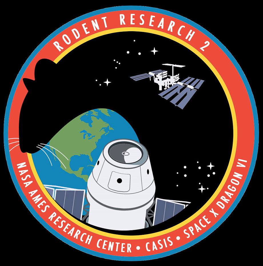 Logo Rodent Research 2