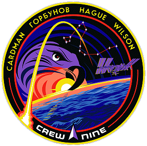 Patch SpaceX Crew-9 (Original)