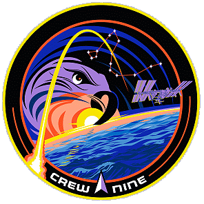 Patch SpaceX Crew-9