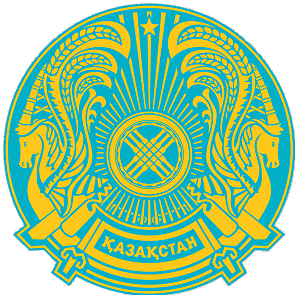 Kazak patch