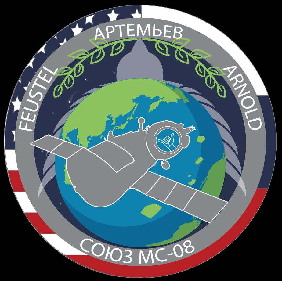 Patch Soyuz MS-08 (design by Arnold's daughter)