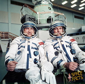 Crew Soyuz 19 backup