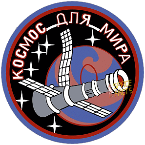 Salyut 6 patch